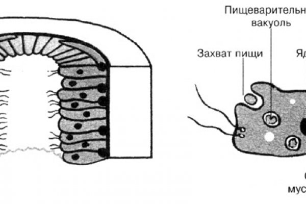 Кракен дарк ссылка